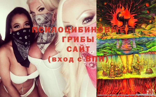 гидропоника Абдулино