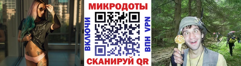 Галлюциногенные грибы GOLDEN TEACHER  где продают   Кингисепп 