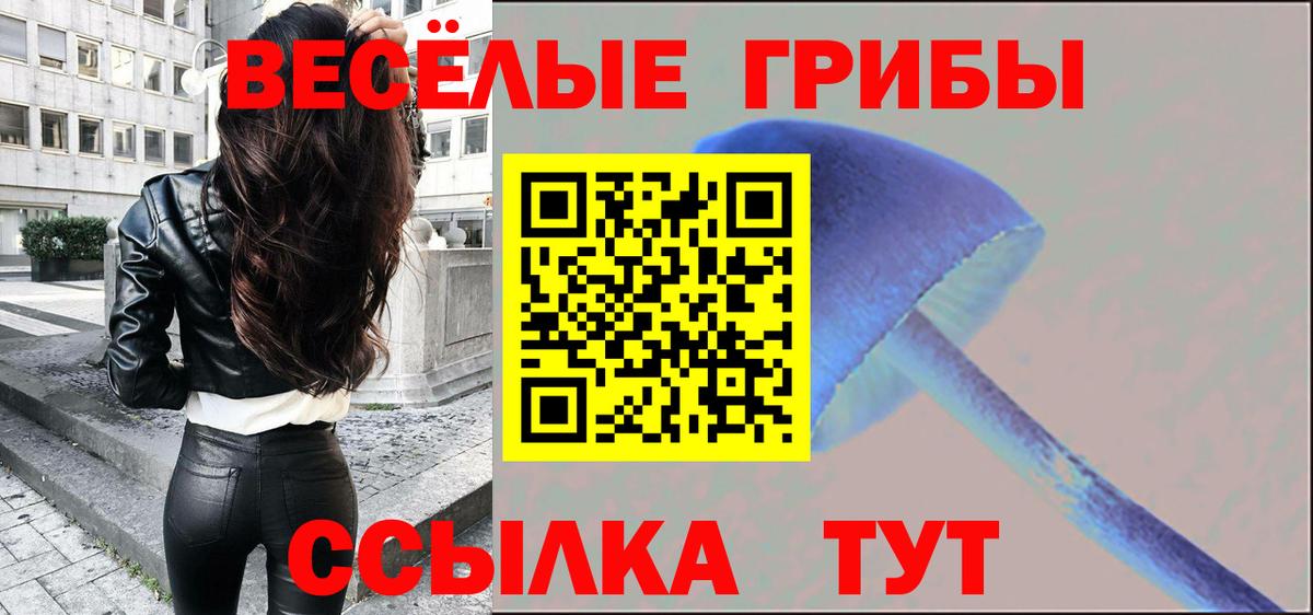 Галлюциногенные грибы Magic Shrooms Кингисепп